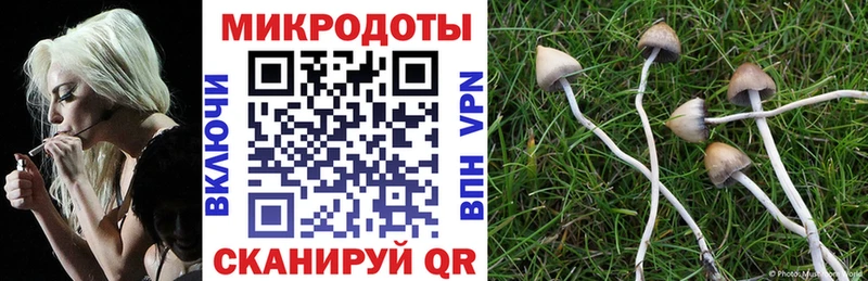 Псилоцибиновые грибы Cubensis  как найти закладки  Торжок 